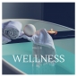 Preview: The Break Music - Wellnessmusik