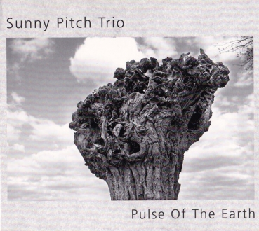 Sunny Pitch Trio - Pulse of the earth