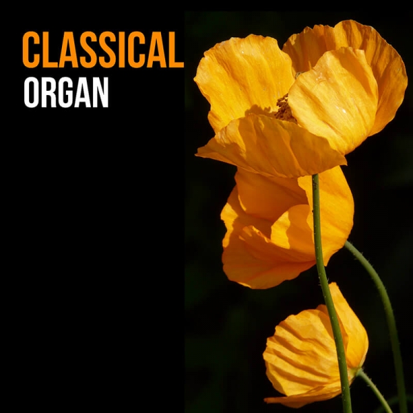 Classical Organ