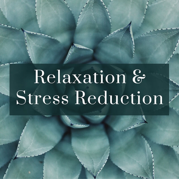 Relaxation and Stress Reduction Music - The Break Music